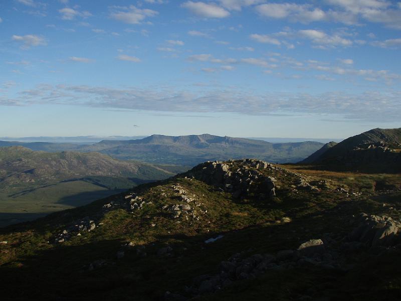Rhinnogs 031.jpg